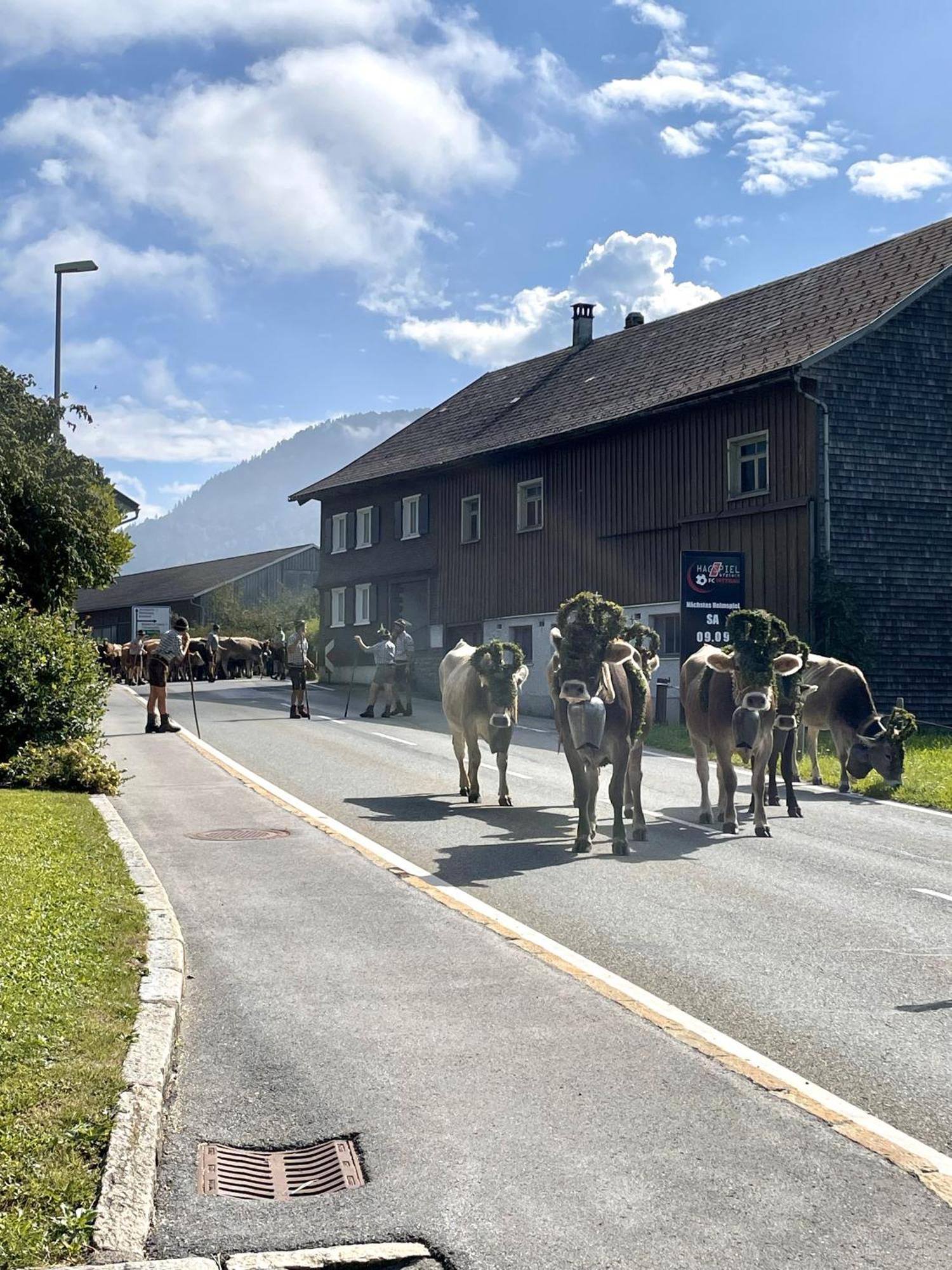 Zu Gast Bei Den Hagspiels Apartment Hittisau Luaran gambar